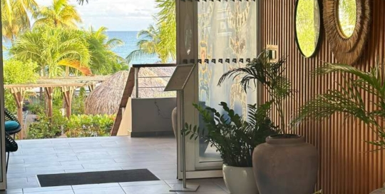 hotel-diamant-les-bains-en-martinique